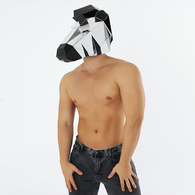 Zebra Mirror Mask mouth animal